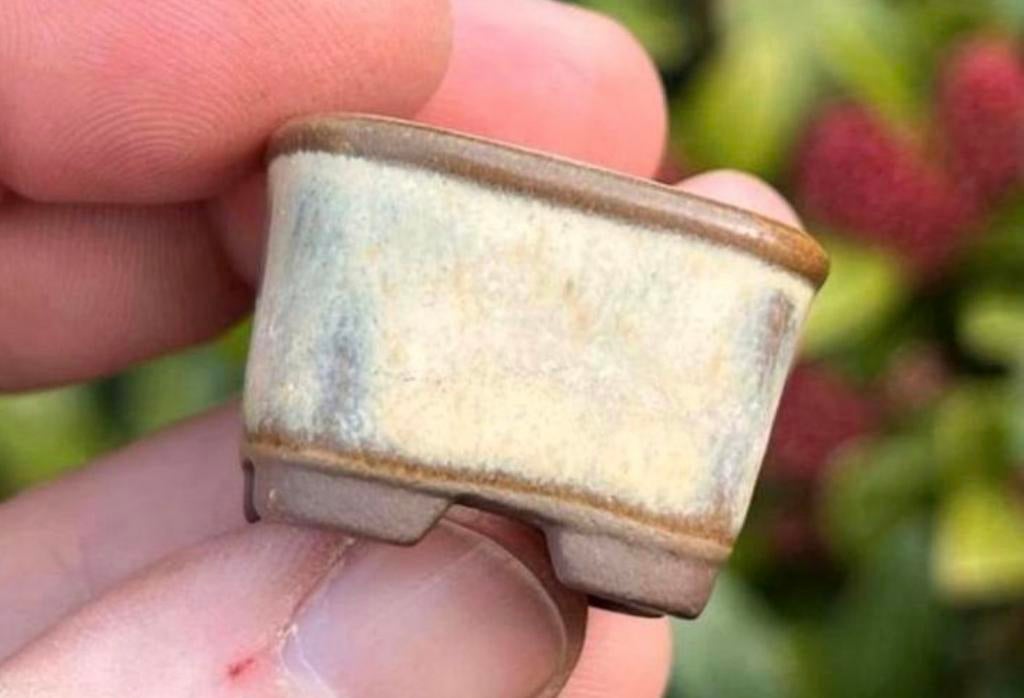 Bonsai Mame potje crème geglazuurd gemerkt Japans 3x3x2,4, Vierkant, Ophalen of Verzenden, Zo goed als nieuw, Aardewerk