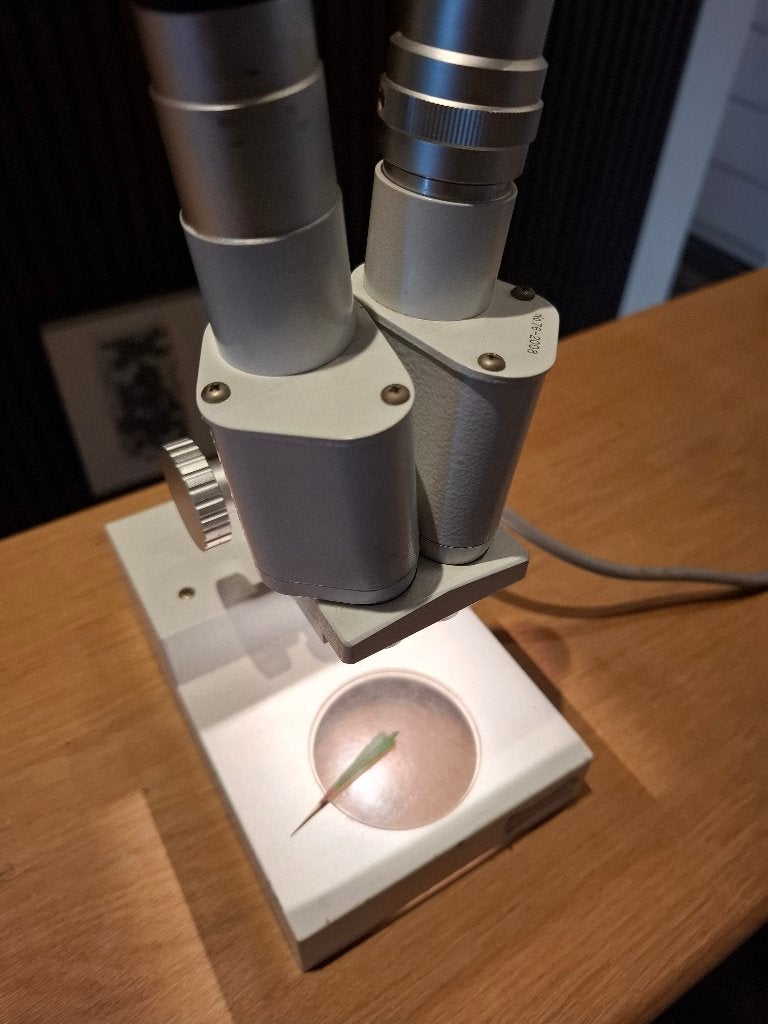 Euromex STO Stereo Microscoop No. 76-2008, Ophalen, Zo goed als nieuw, Minder dan 400x, Stereomicroscoop