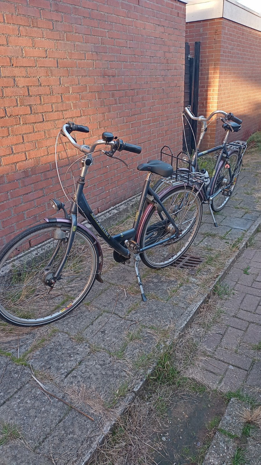 Gazelle furore 2 stuks man en vrouw fiets, Fietsen en Brommers, Ophalen, Gebruikt, Velgrem, Versnellingen