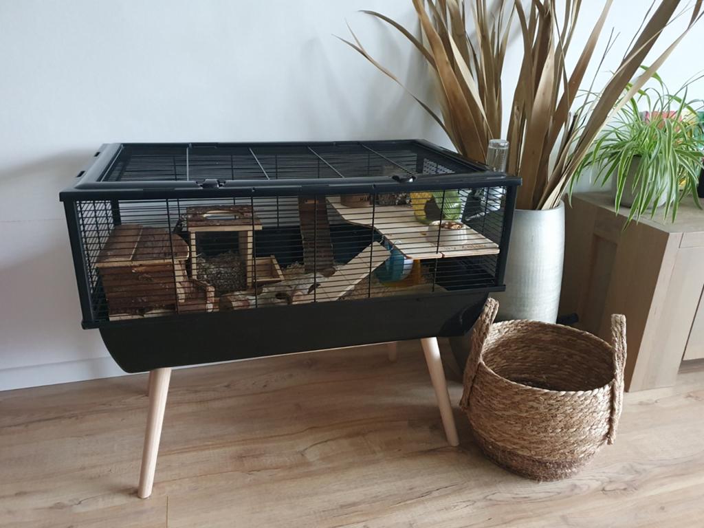 Hamsterkooi Zolux, Dieren en Toebehoren, Kooi, Minder dan 75 cm, Zo goed als nieuw, Ophalen