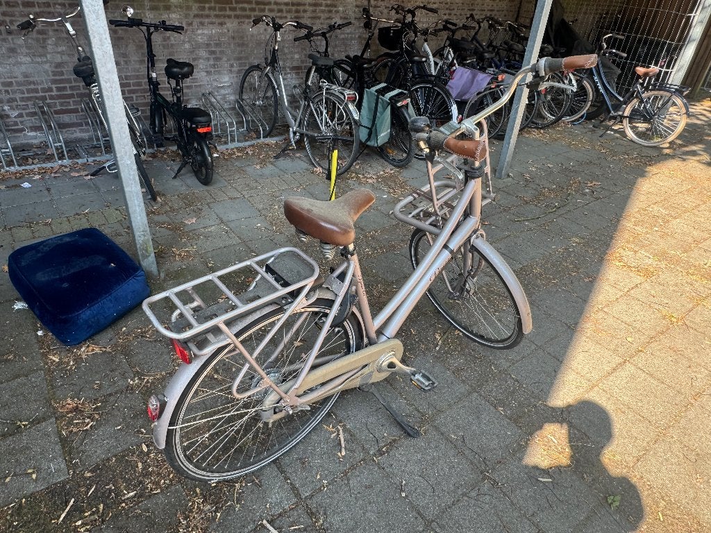 Sparta County Tour, Ophalen, Terugtraprem, Sparta, 50 tot 53 cm