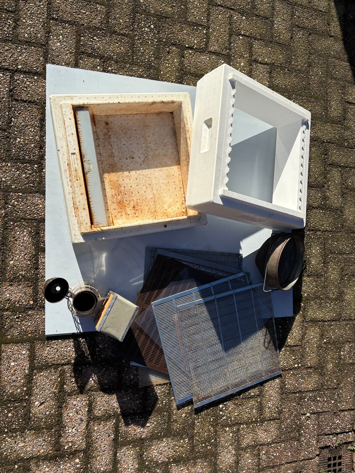 Segeberger bijenkasten, Bijen
