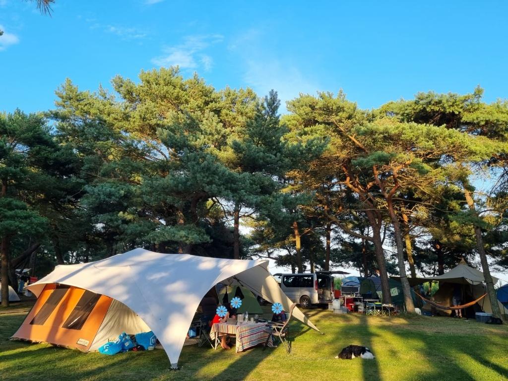 Holtkamper Kyte XL + kindertent L, Caravans en Kamperen, Vouwwagens, Ophalen, Meerkleurig, Aanwezig, Holtkamper