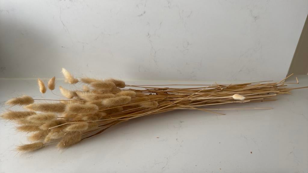 Droogboeket, Huis en Inrichting, Woonaccessoires | Droogbloemen, Ophalen of Verzenden, Zo goed als nieuw