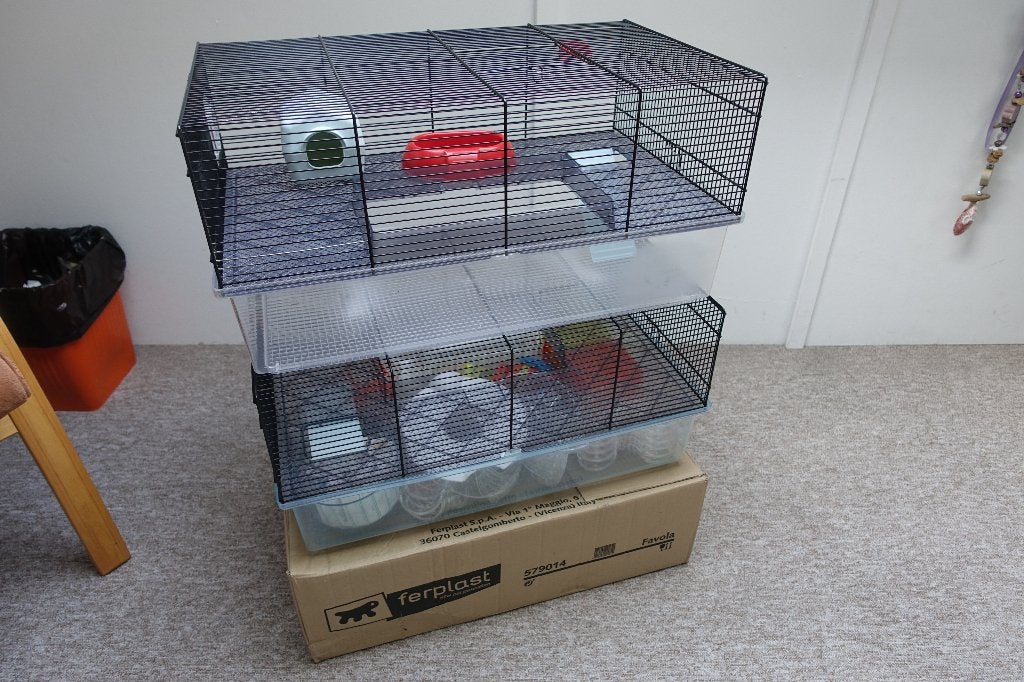2 Nette Hamsterkooien Ferplast Favola + heel veel toebehoren, Dieren en Toebehoren, Hamster, Augustus, Meerdere dieren, Tam