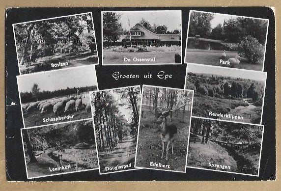 Oude ansichtkaart Groeten uit Epe - Diverse gezichten, Ophalen of Verzenden, 1940 tot 1960, Gelopen, Gelderland