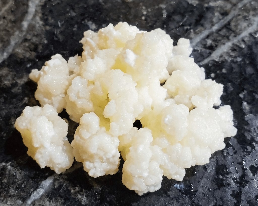 Melk Kefir - Zelf Kefir maken, Verzenden