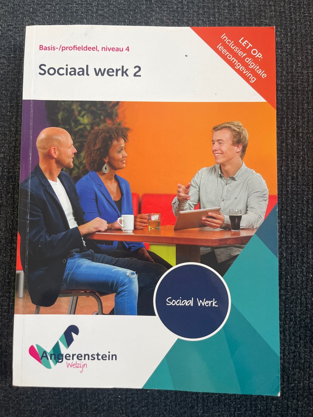 Sociaal werk boeken niveau 4 - Duidelijk en overzichtelijk, Ophalen of Verzenden, Gamma, Gelezen, MBO