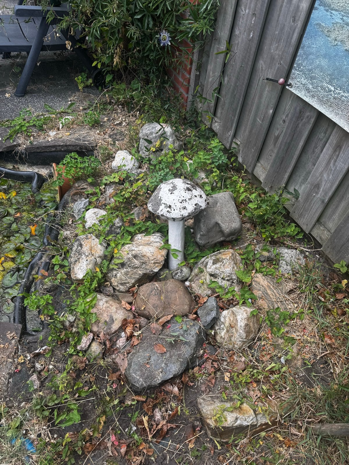 Diverse decoratieve rotsen en keien voor tuin, Tuin en Terras, Ophalen, Gebruikt, Steen, Overige typen