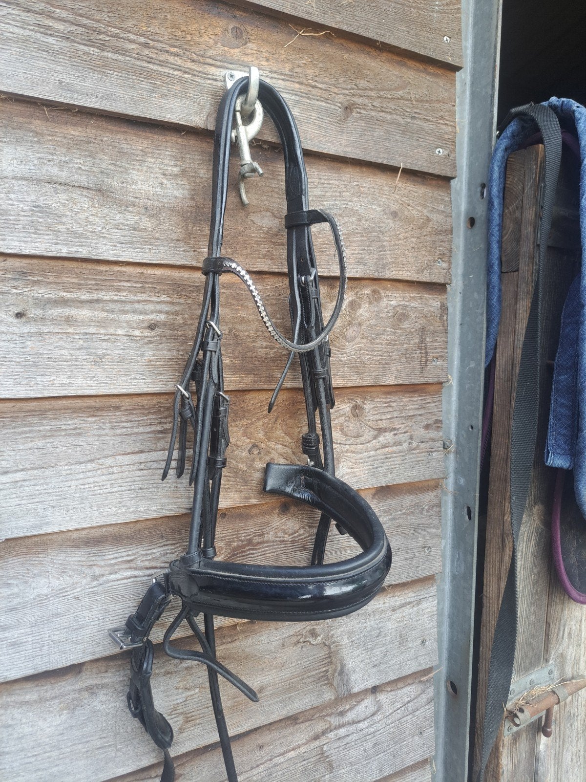 Anky stang en trens hoofdstel, Dieren en Toebehoren, Paarden en Pony's | Hoofdstellen en Tuigage, Ophalen of Verzenden, Anky, Hoofdstel