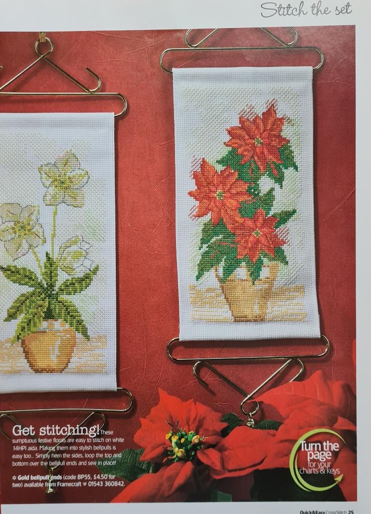 Kerstster wit en rood, 2 borduurpatronen, Ophalen, Nieuw, Handborduren, Patroon