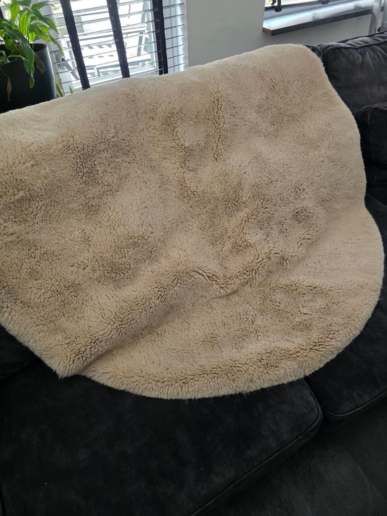 Rond vloerkleed - diameter 150 cm, Ophalen, Gebruikt, Beige, Rond