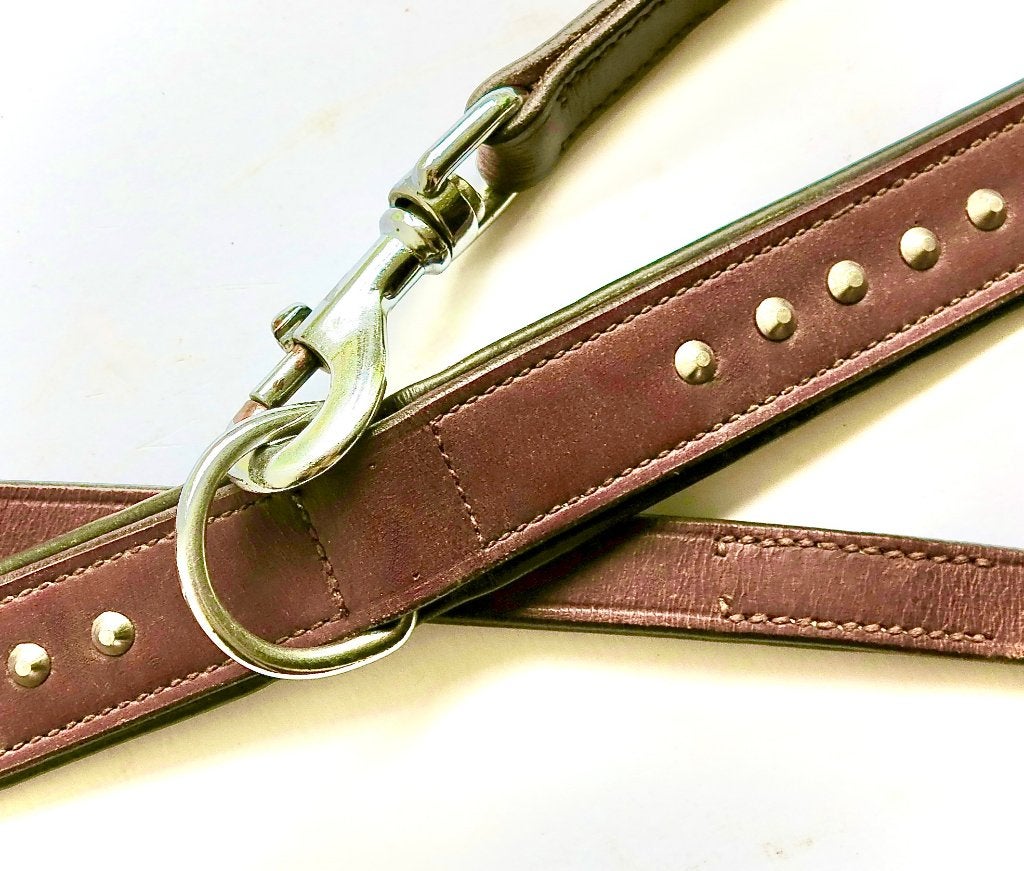 Hondenriem en halsband, sjieke set!, Verzenden, Zo goed als nieuw, Hondenriem