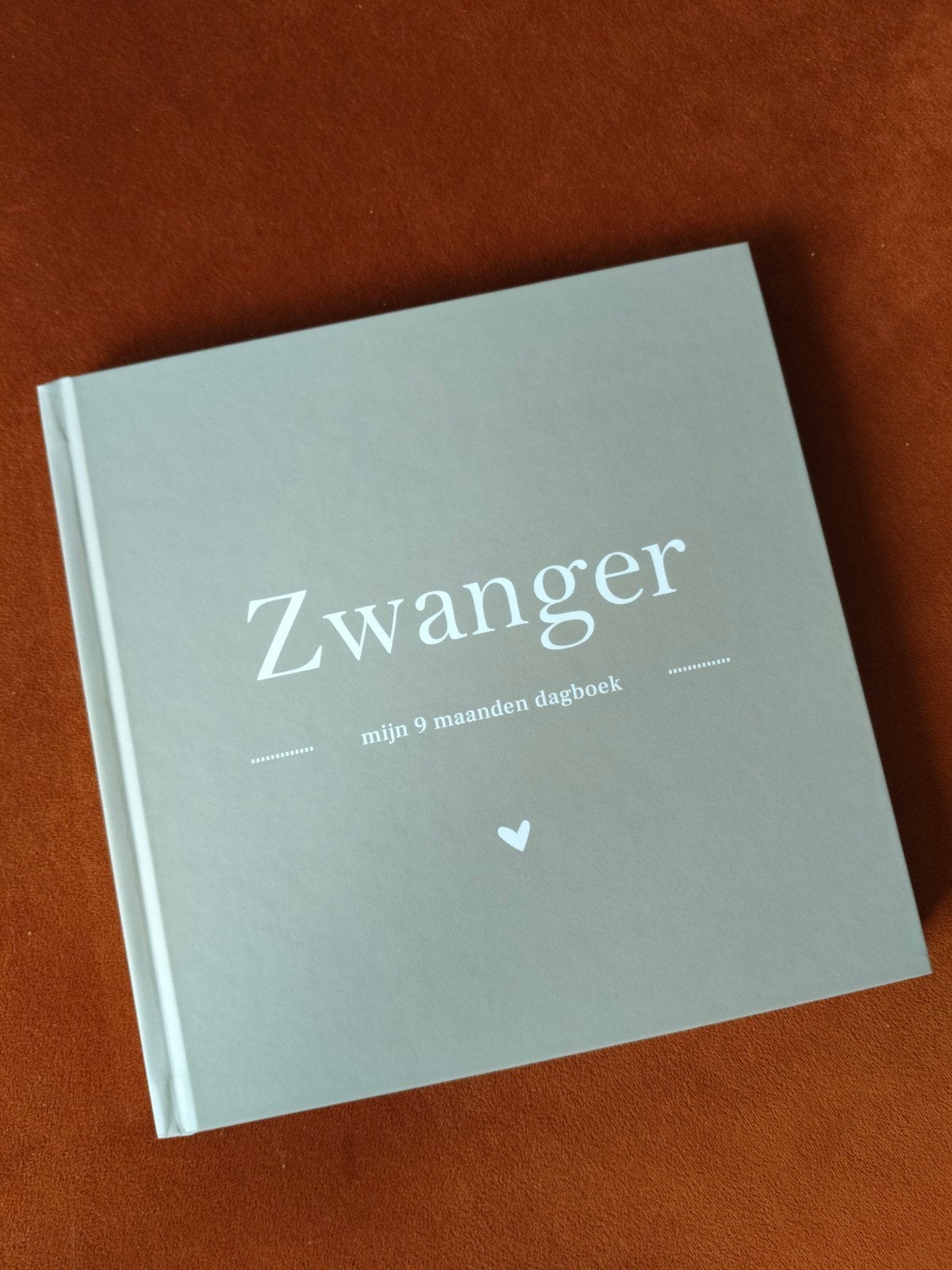 NIEUW! Zwangerschapsboek, Onbekend, Zwangerschap en Bevalling, Nieuw, Ophalen of Verzenden
