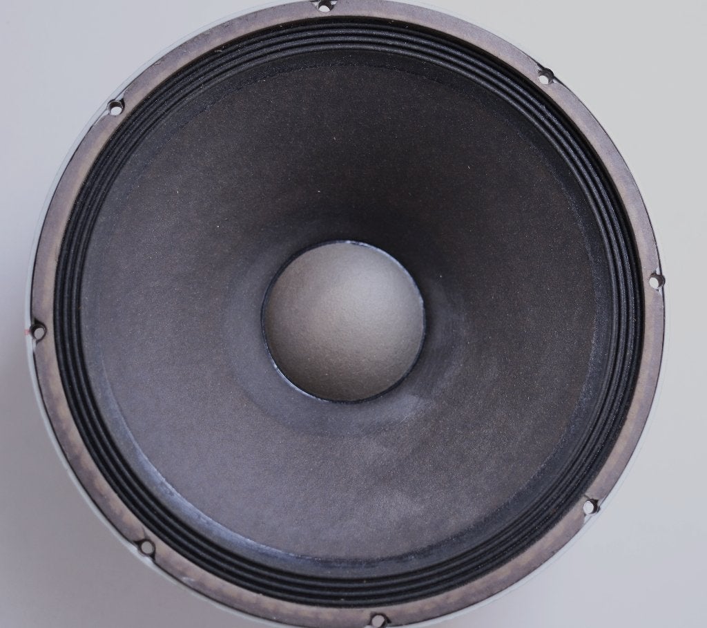 Electro Voice 15" Bas Speaker, Muziek en Instrumenten, Ophalen, Gebruikt