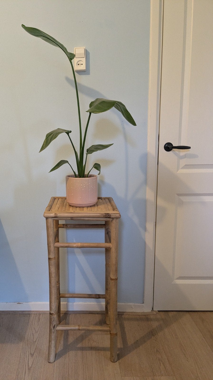 Hoge bamboe kruk / bijzettafel / plantentafel, Huis en Inrichting, Ophalen, Zo goed als nieuw, Overige materialen