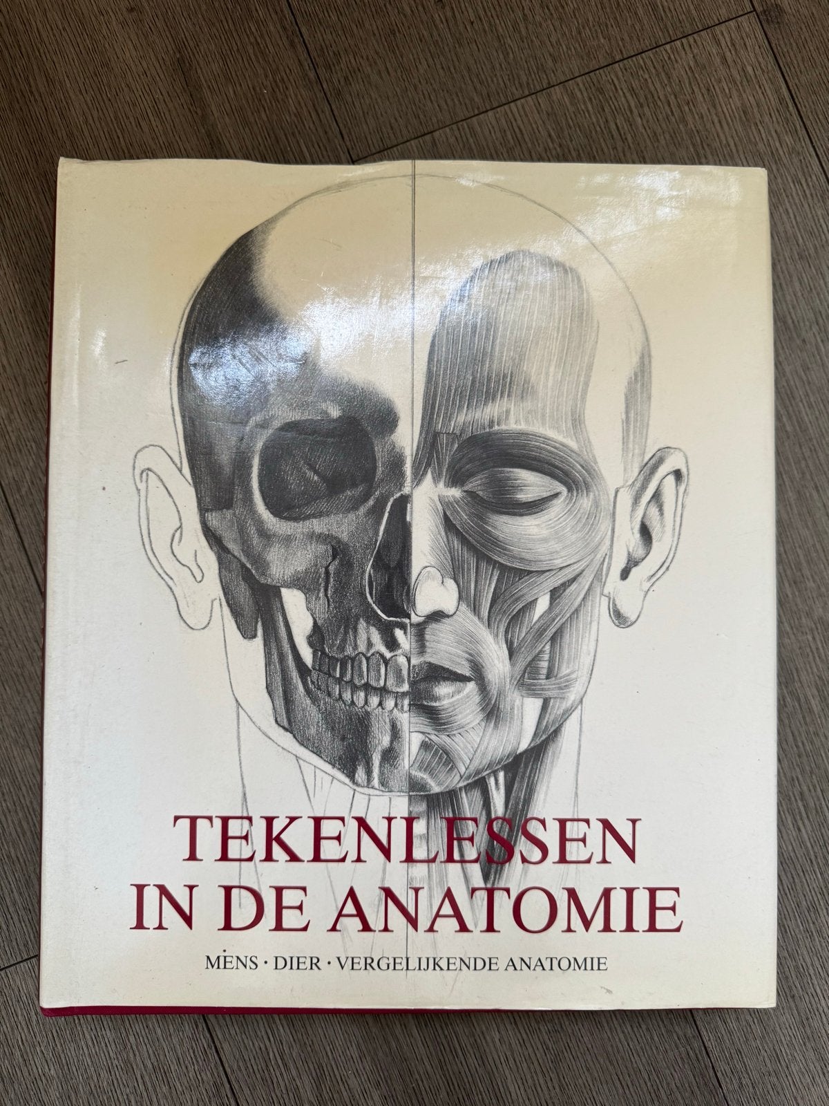 Tekenlessen in de Anatomie - Gebruikt, met deuk, Boeken, Ophalen of Verzenden, Gelezen, Natuurwetenschap
