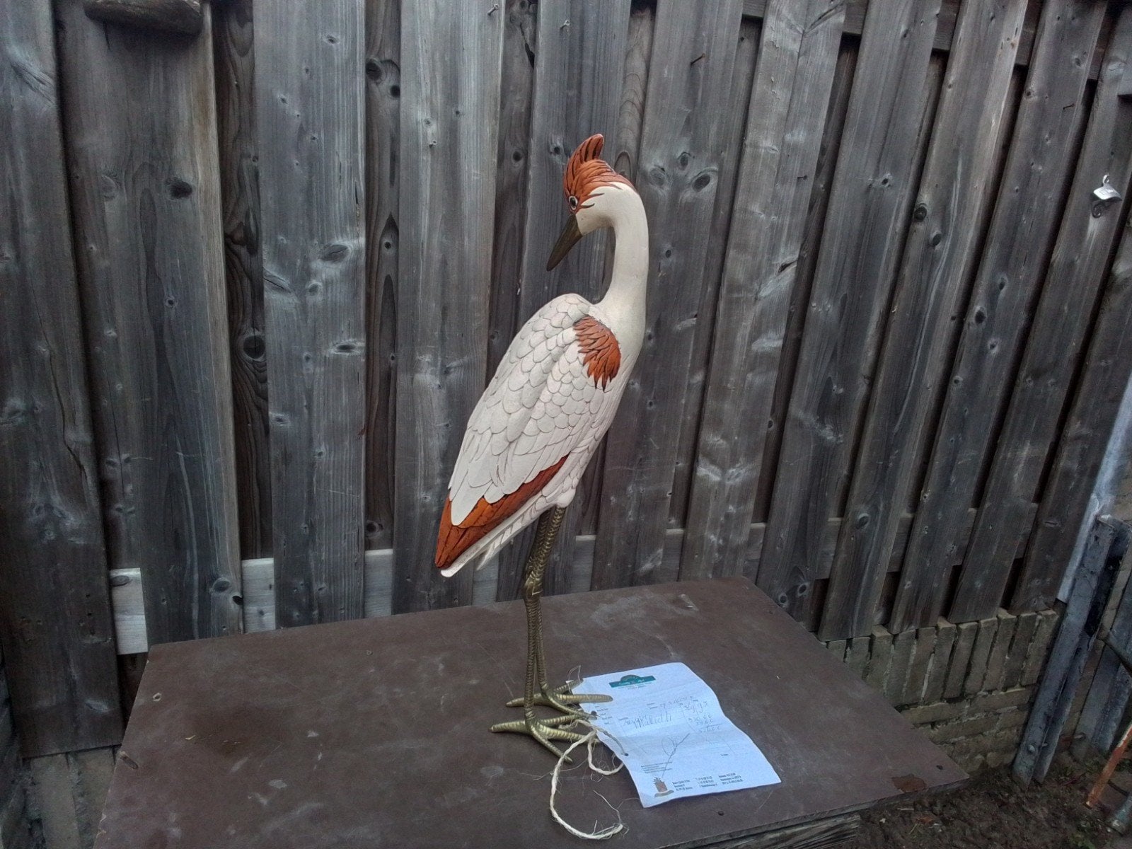 Grote Reiger Enzo Malevolti Firenze Italië, Ophalen