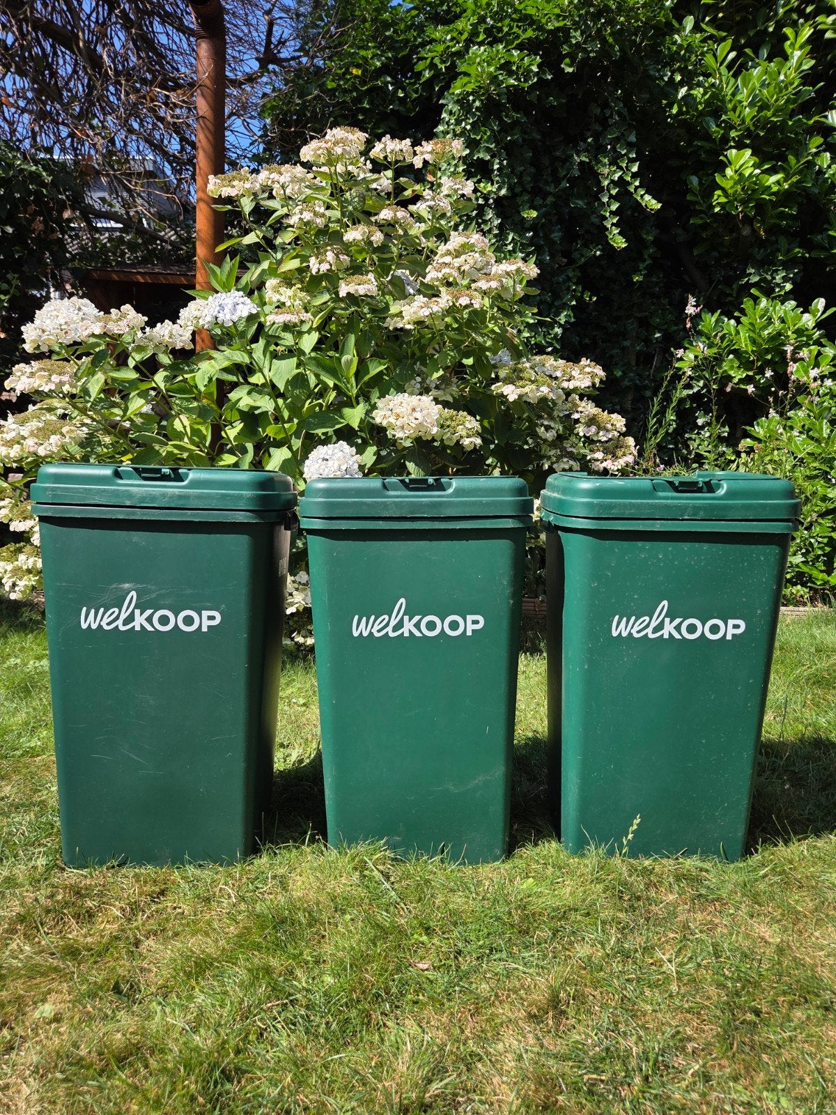 3x Welkoop voerton 53 liter met deksel, Dieren en Toebehoren, Dierenvoeding, Ophalen
