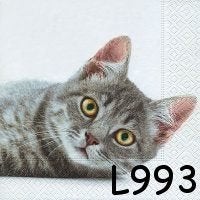 Servetten decoupage/bullet journal * poes L993, Verzenden, Nieuw