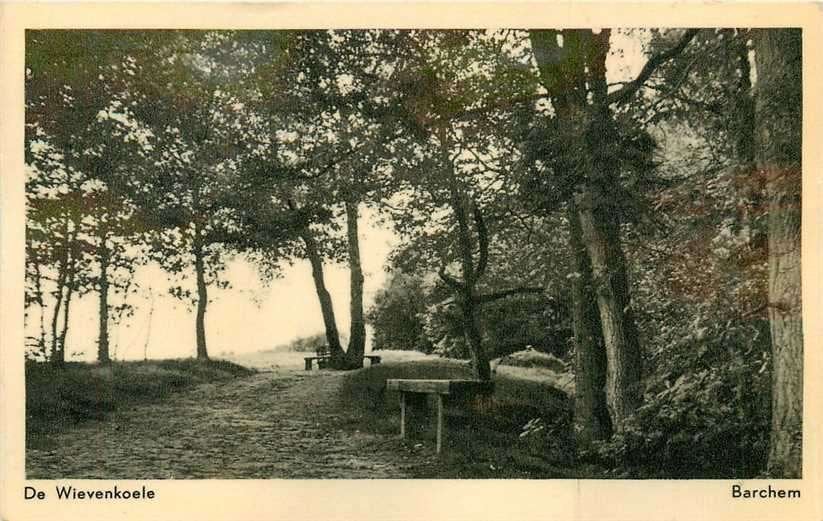 380-914-005 Barchem De Wievenkoele, Verzenden, Voor 1920, Gelderland