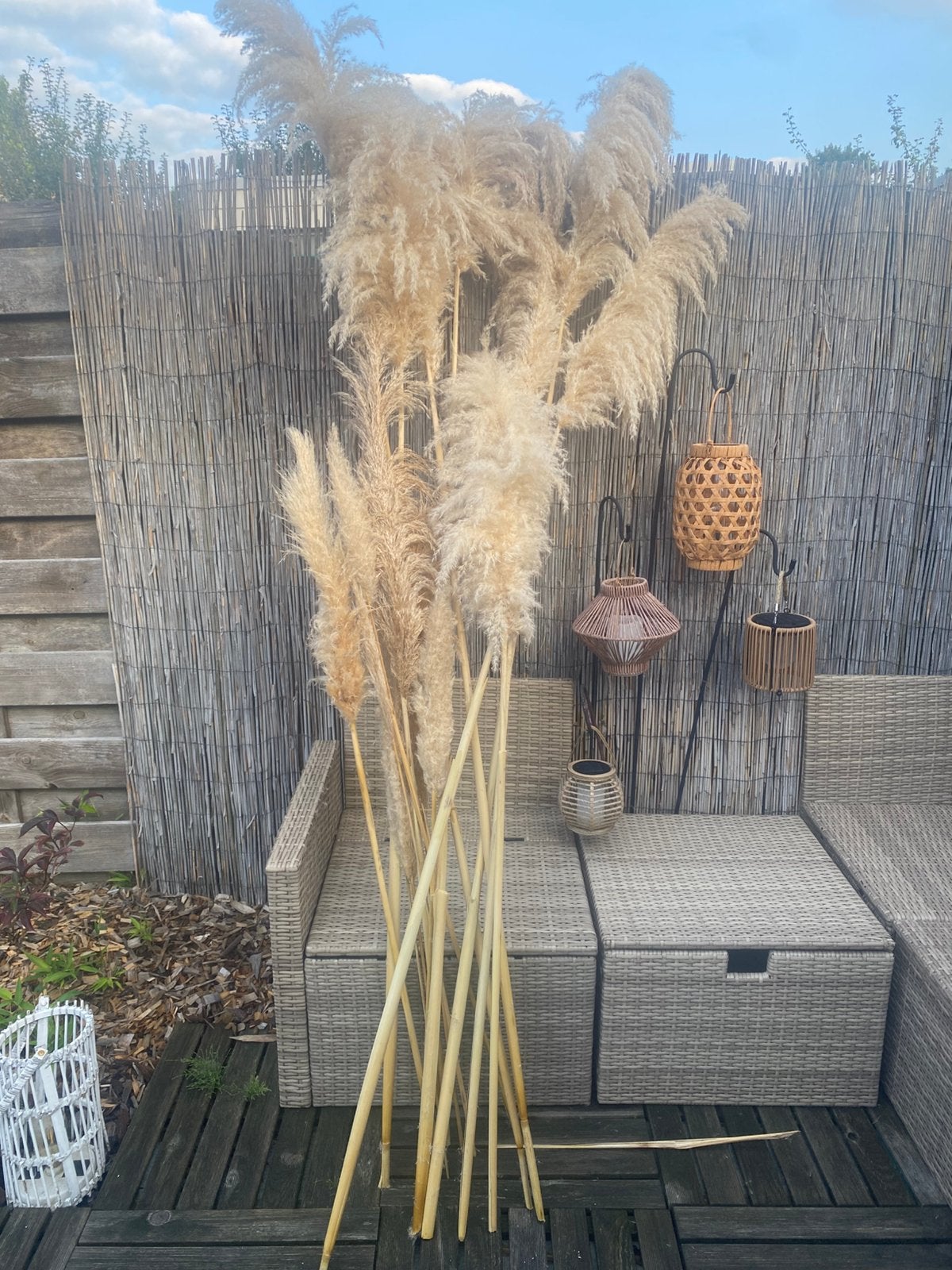 Bos hoge pampas pluimen, Ophalen, Zo goed als nieuw