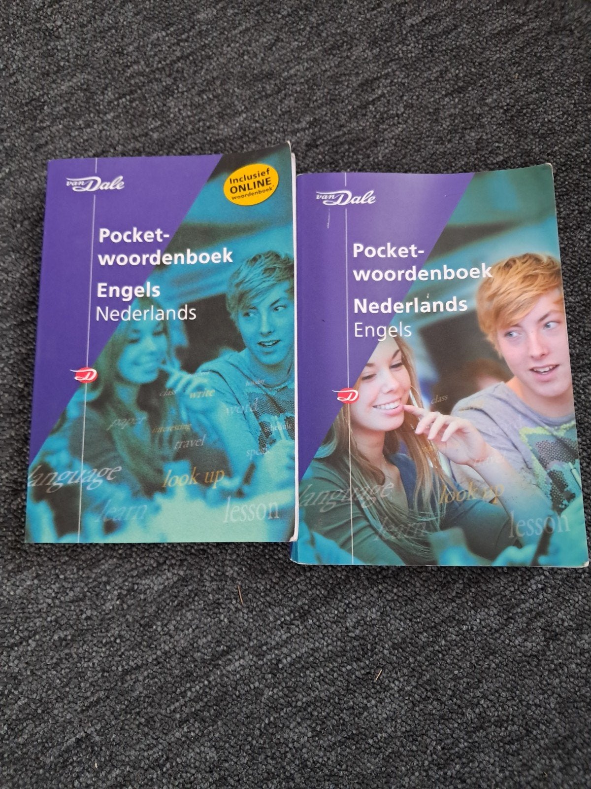 Van Dale Pocketwoordenboek Engels Nederlands & Nederlands-En, Boeken, Woordenboeken, Ophalen of Verzenden, Zo goed als nieuw, Van Dale