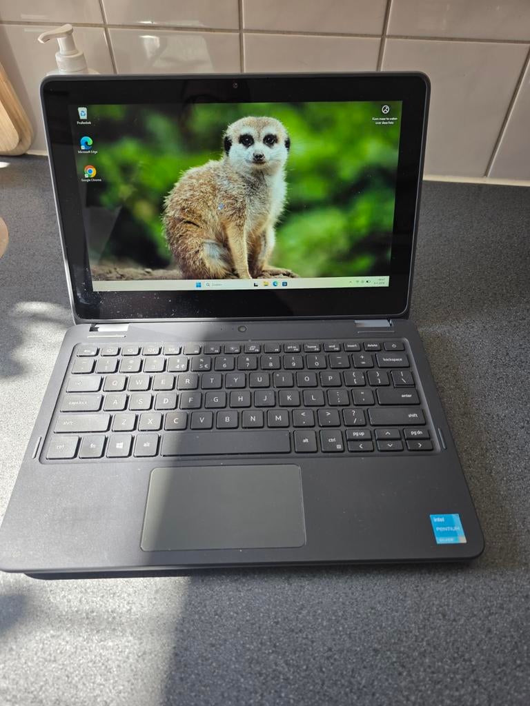 Schoollaptop Dell 3120, Computers en Software, Windows Laptops, Dell latitude, Qwerty, Intel Pentium Silver N6000, 8 GB