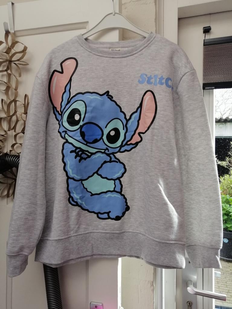 Dames trui/sweater, Ophalen of Verzenden, Zo goed als nieuw, Grijs