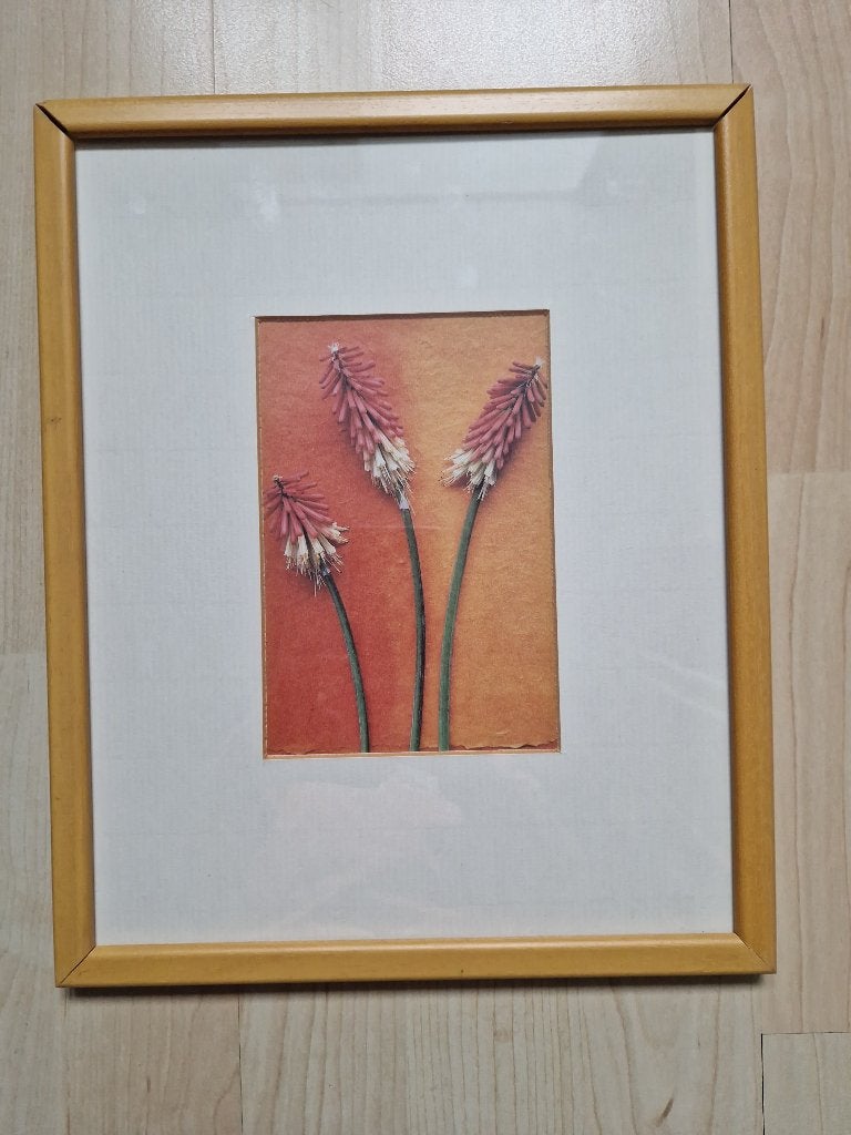 Schilderijtje, Huis en Inrichting, Ophalen, Zo goed als nieuw, Minder dan 50 cm, Overige typen