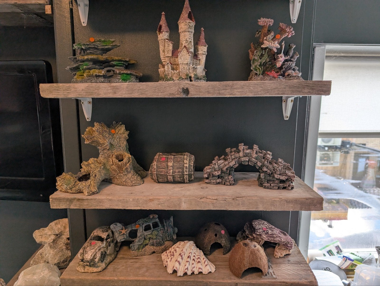 decoratie stenen kienhout voor kleine prijsjes, Ophalen, Plant(en), Steen of Hout