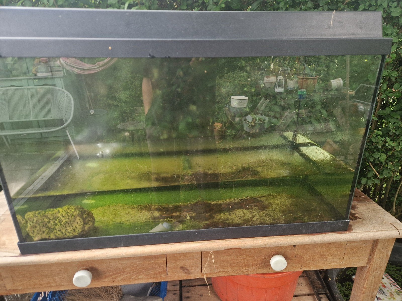 juwel aquarium 80x40x50, Ophalen, Gebruikt, Leeg aquarium