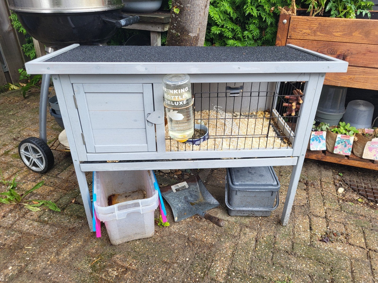 caviakooi, Ophalen, 60 tot 90 cm, Zo goed als nieuw, Hok