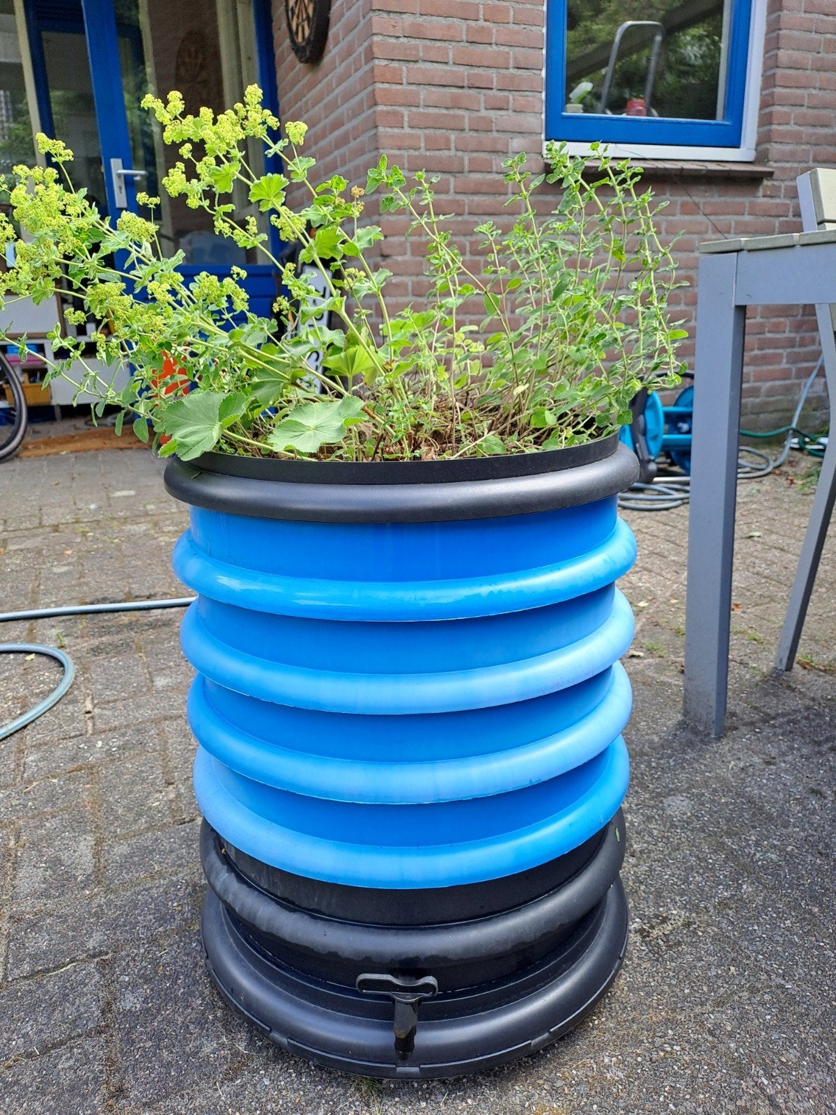 Wormenhotel met wormen en plantenring / Wormenbak - Blauw, Ophalen, Gebruikt, Kweekbak