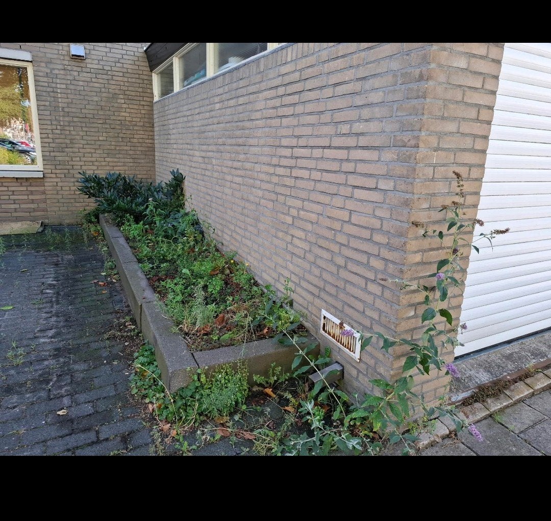 gratis grond Gouda, Ophalen, Hout, Minder dan 3 meter, 1 tot 2 meter
