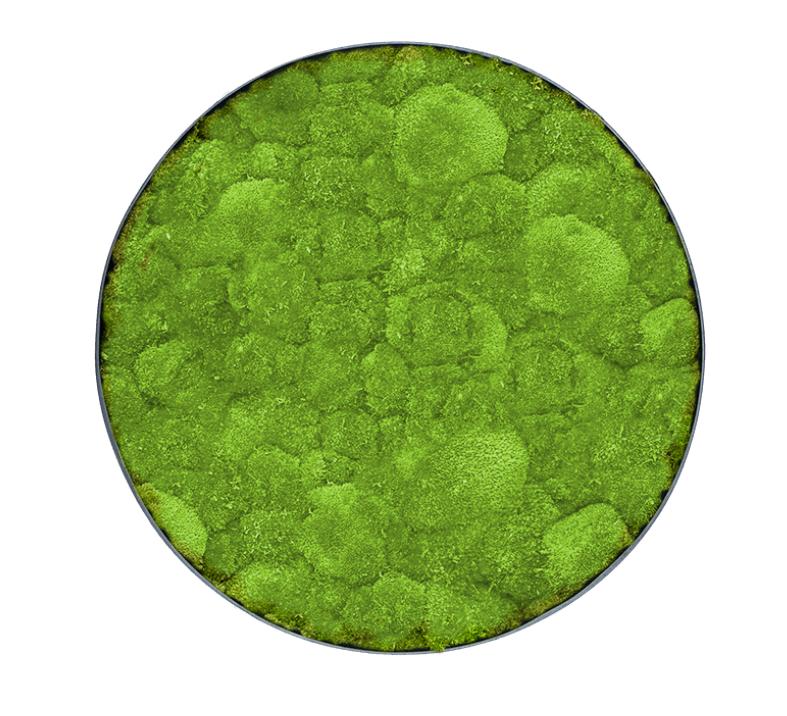Moscirkel ø 40cm, Ophalen, Groen, 40 cm, Nieuw