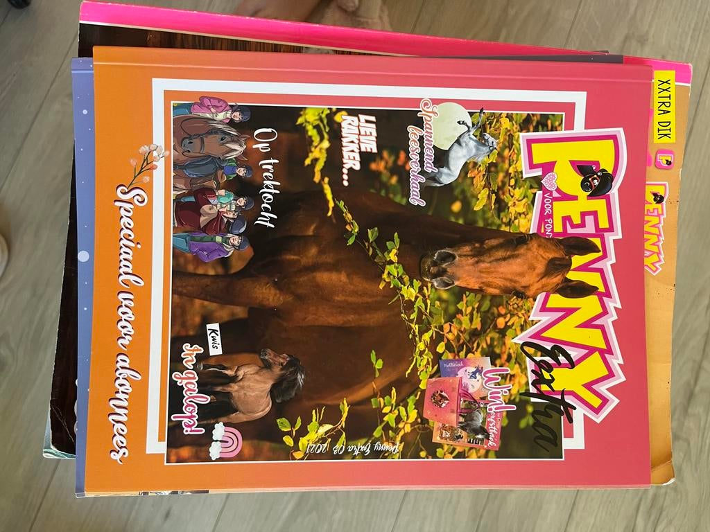 Ruim 100 Penny strips en seizoensboeken - Uren leesplezier!, Ophalen of Verzenden, Gelezen, Overige typen