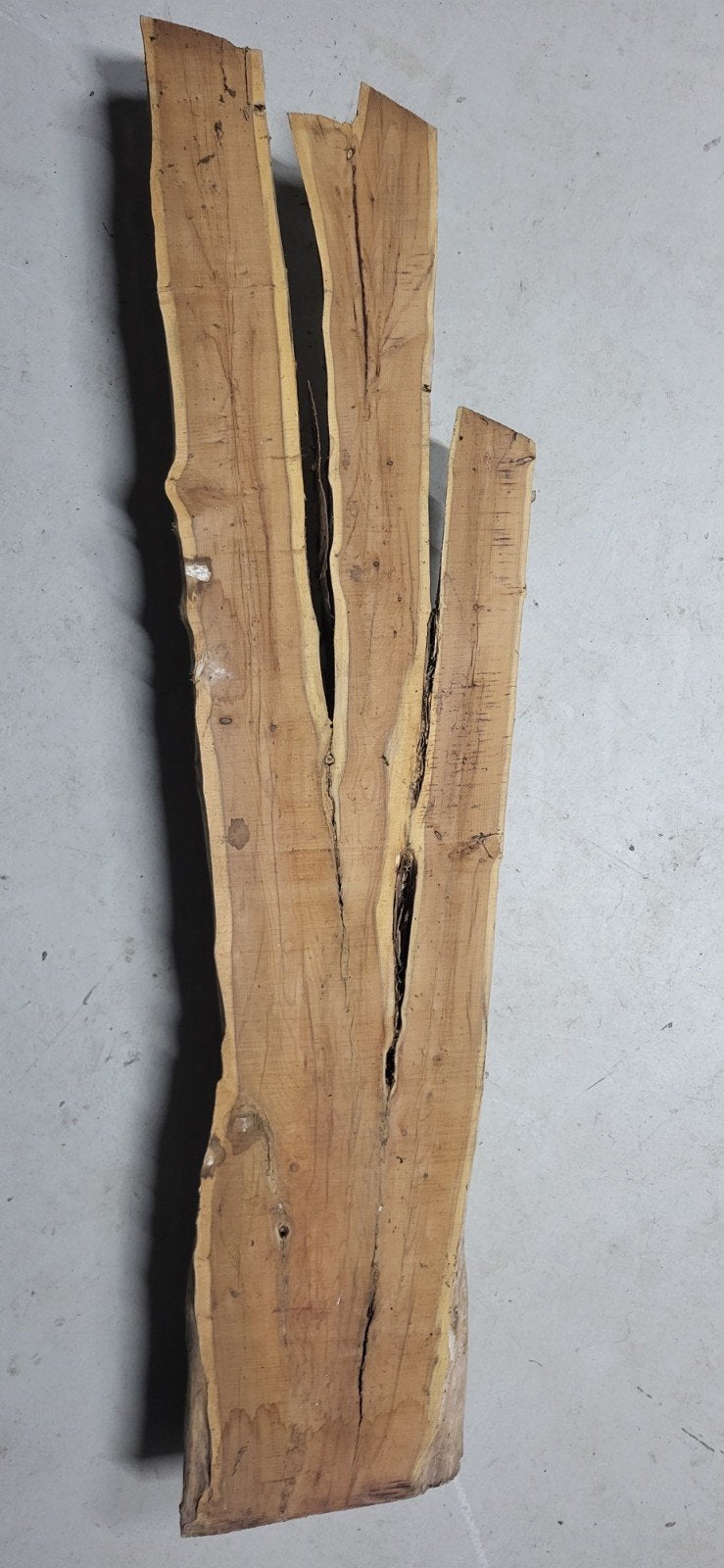 taxus plank, taxus stam, Ophalen, Minder dan 25 mm, Plank, Minder dan 200 cm