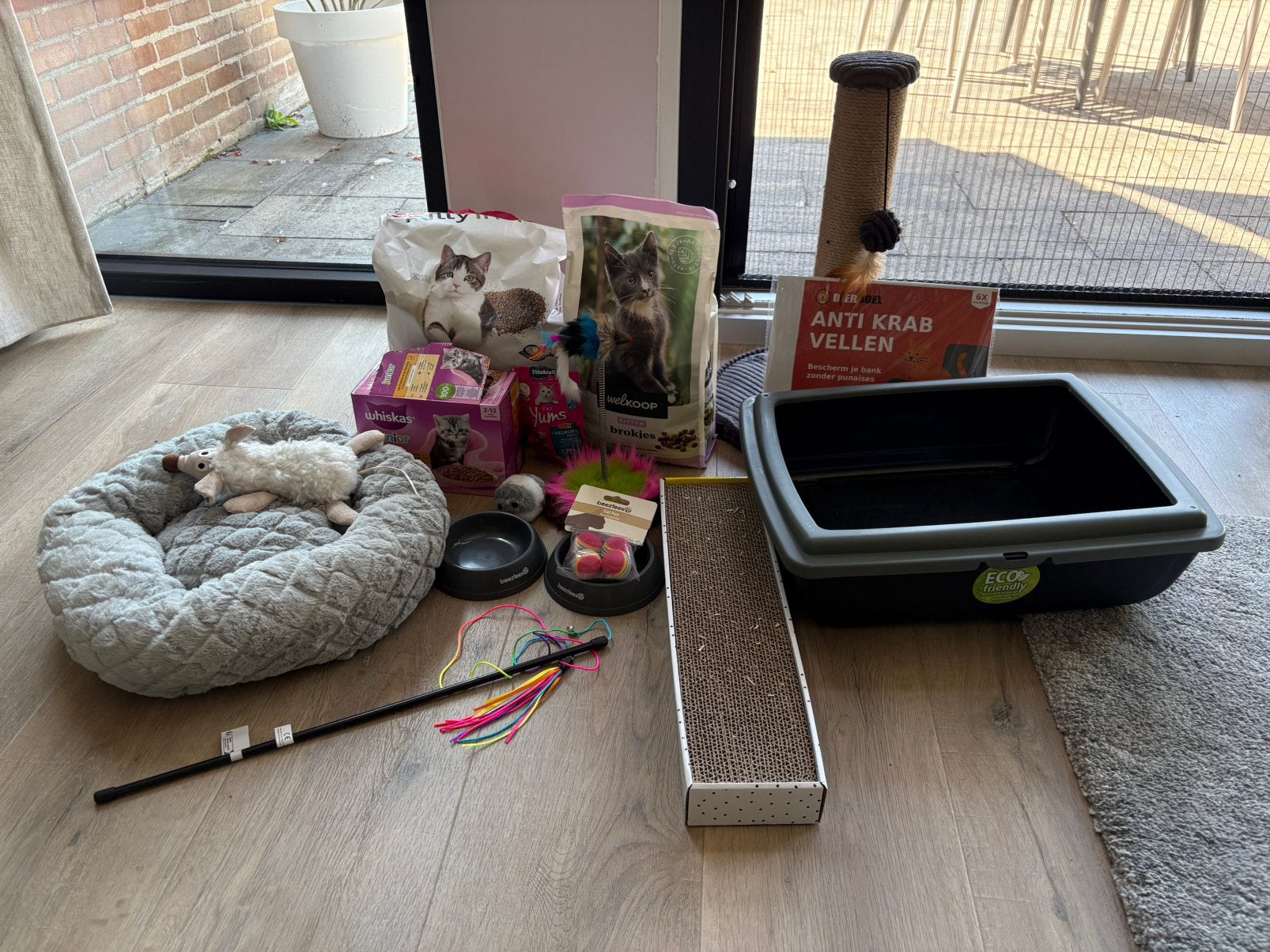 Complete kittenstartset – kattenbenodigdheden, Dieren en Toebehoren, Ophalen, Zo goed als nieuw