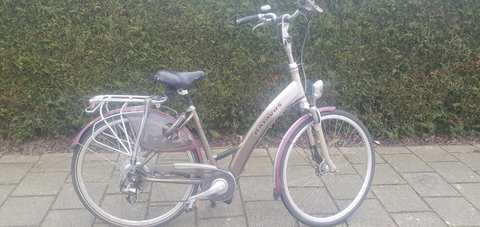 Batavus Easy Padova E-bike - Goed onderhouden, Fietsen en Brommers, Minder dan 47 cm, Ophalen, Gebruikt, Batavus