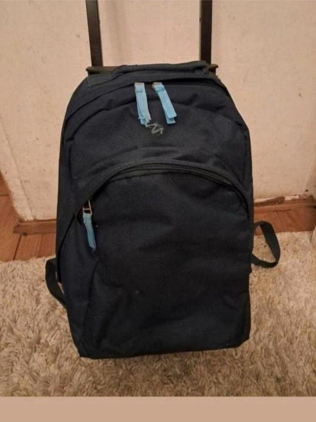 Te koop! Rugtas/reistas., Sieraden, Tassen en Uiterlijk, Tassen | Reistassen en Weekendtassen, Ophalen, 30 cm of meer