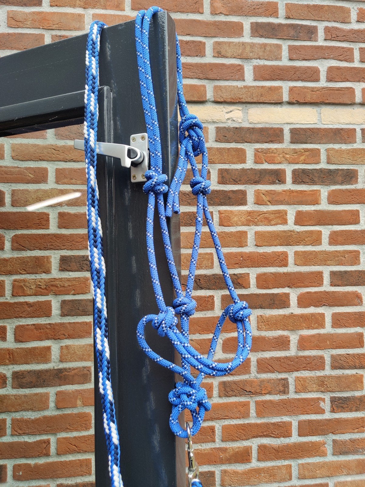 Touwhalster + touw maat cob / full zgan, Ophalen of Verzenden, Zo goed als nieuw, Blauw, Halster