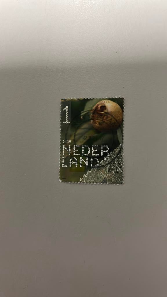 Nederland 2019 Mispel, Verzenden, Gestempeld