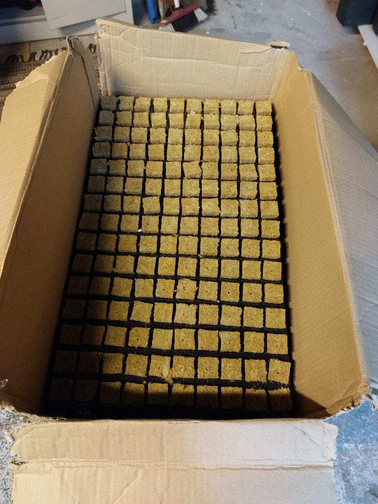Stek pluggen 15 lagen 150 pluggen per laag, Ophalen, Volle zon