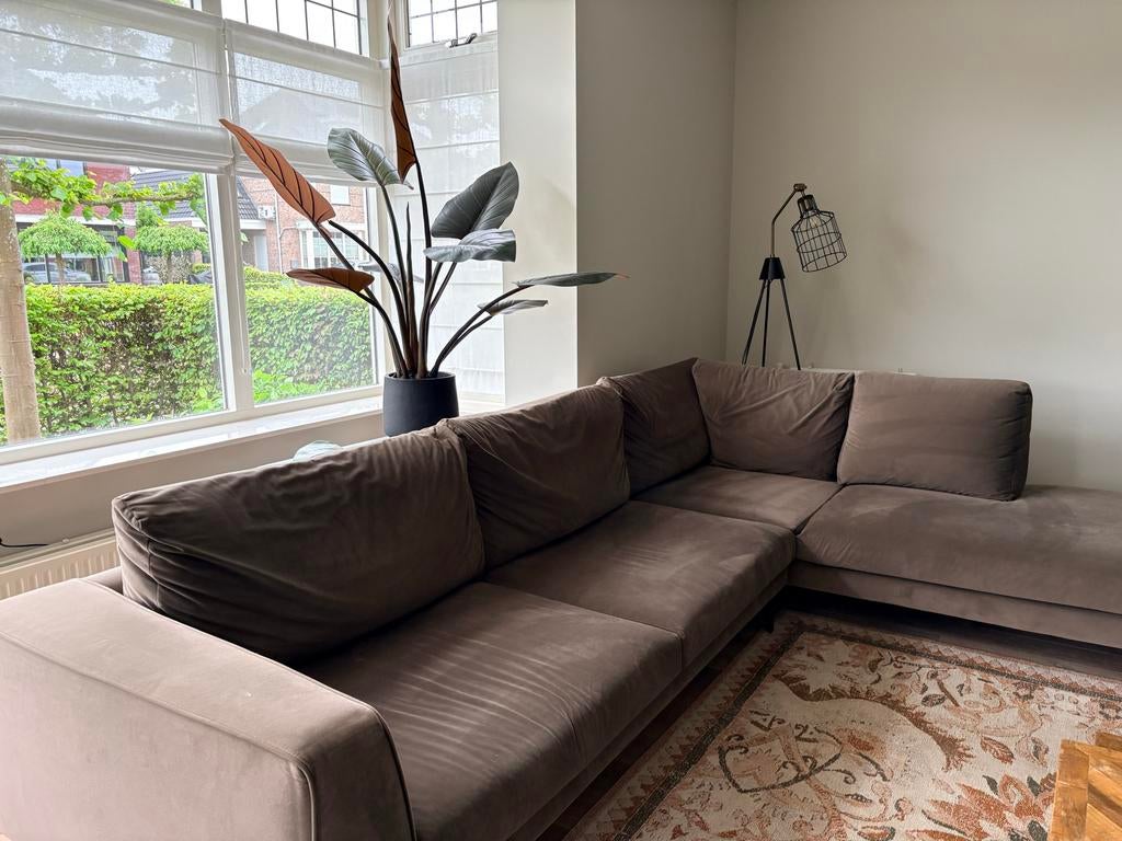 Taupekleurige loungebank met losse kussens, Ophalen, 250 tot 300 cm, Gebruikt, Hoekbank