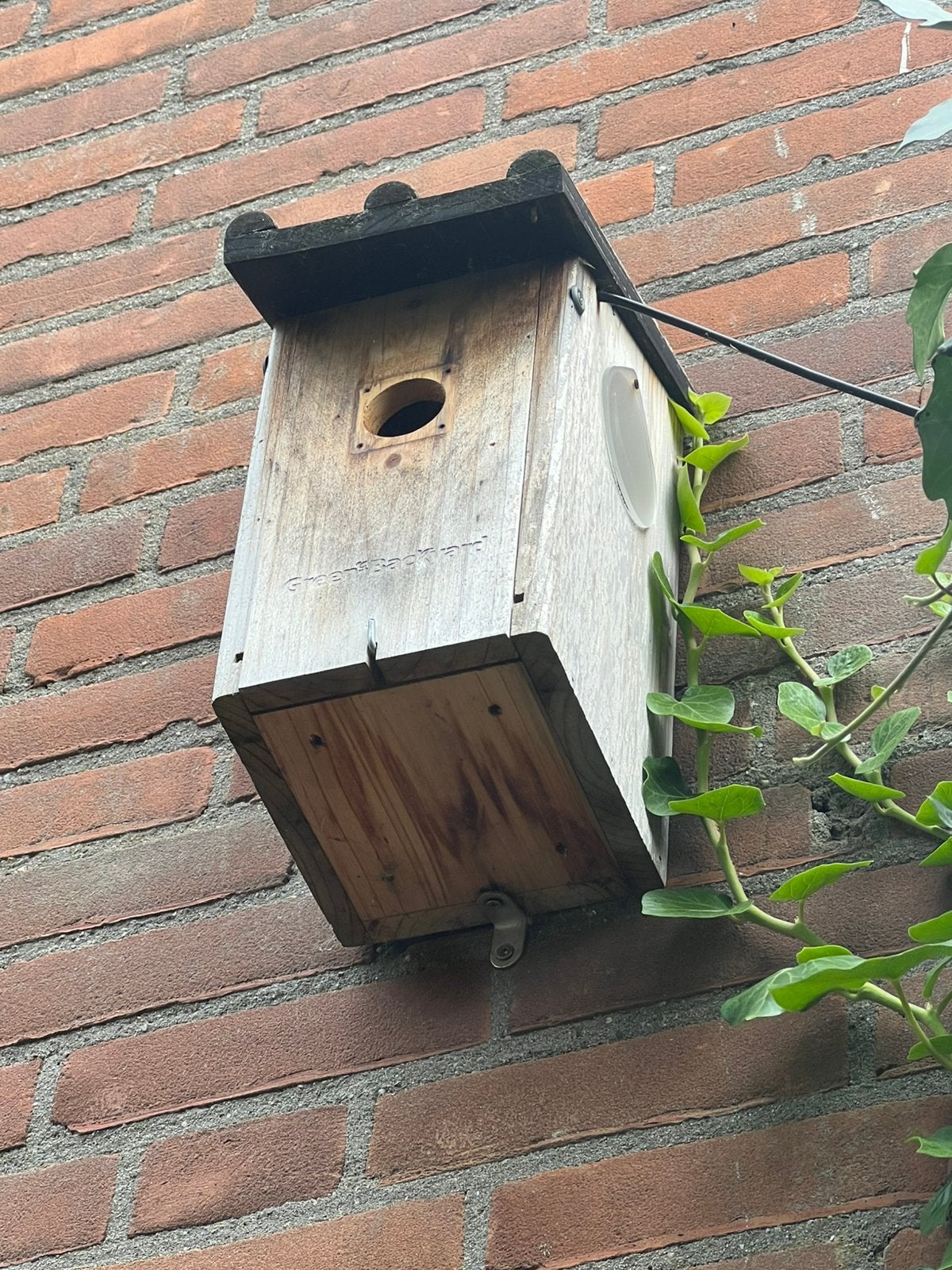 Green backyard camera met vogelhuisje, Ophalen, Gebruikt