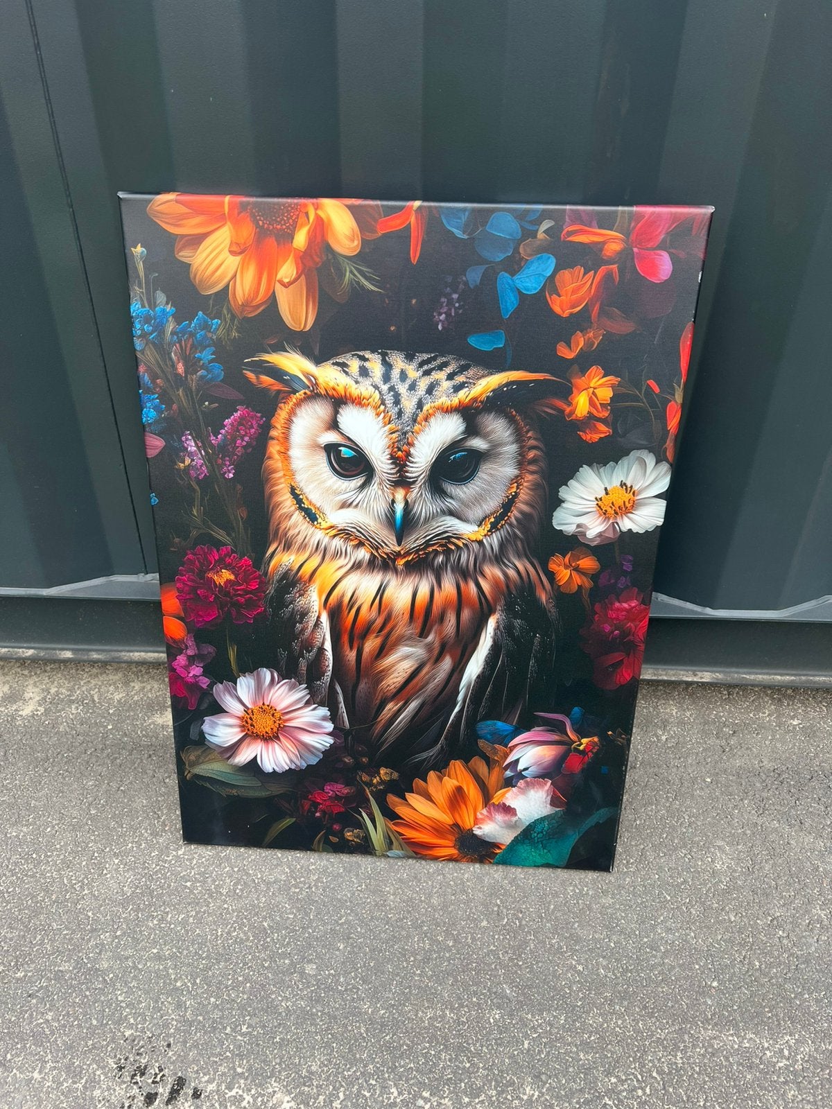 Canvas uil afhaal €7,50, Ophalen, Nieuw, 50 tot 75 cm, Schilderij