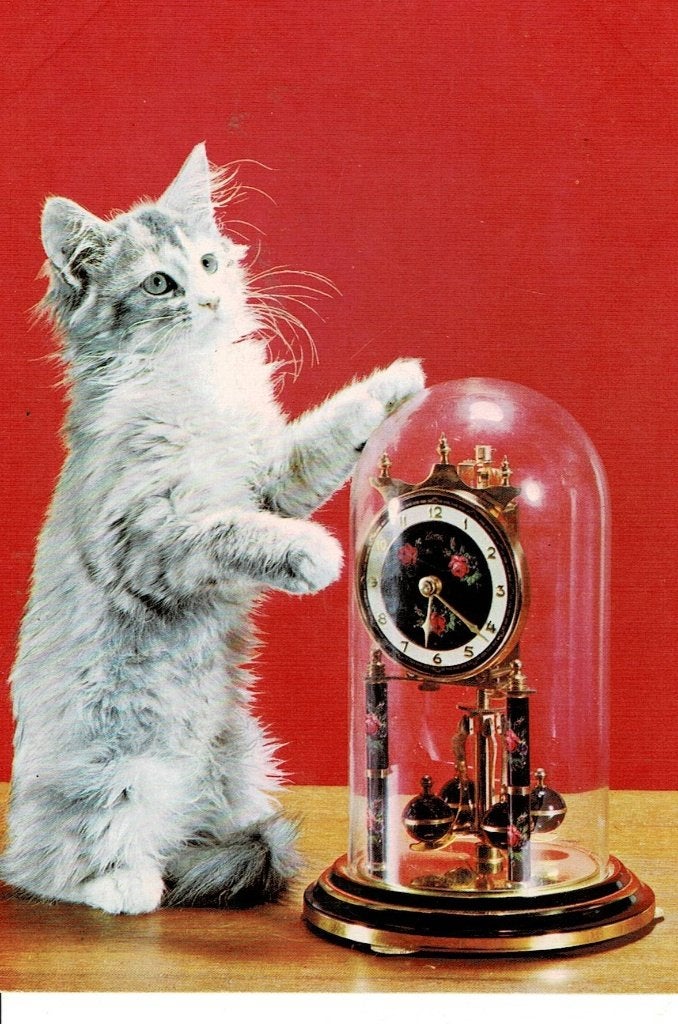 Poes, Klok, Ophalen of Verzenden, 1980 tot heden, Gelopen, Overige thema's