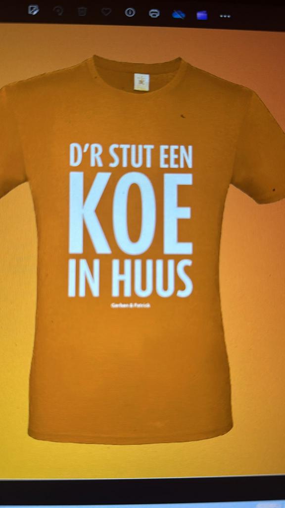 Grappige T-shirts met unieke teksten KONINGSDAG, Ophalen of Verzenden, Nieuw, Overige maten, Oranje