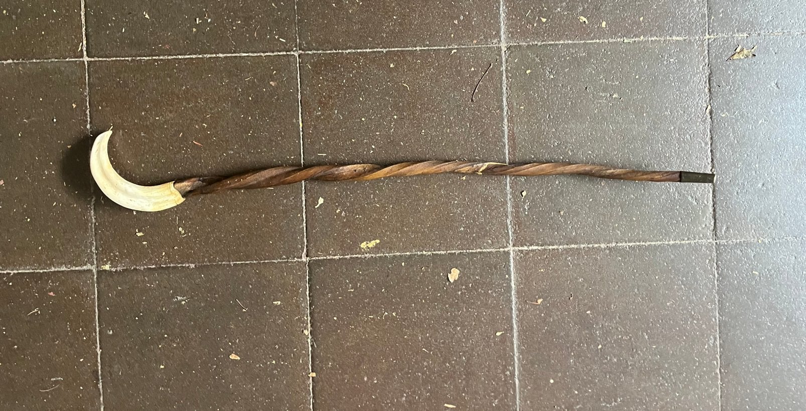 Stok van hazelaar met everzwijn slagtand, Diversen, Wandelstokken, Ophalen of Verzenden, Zo goed als nieuw